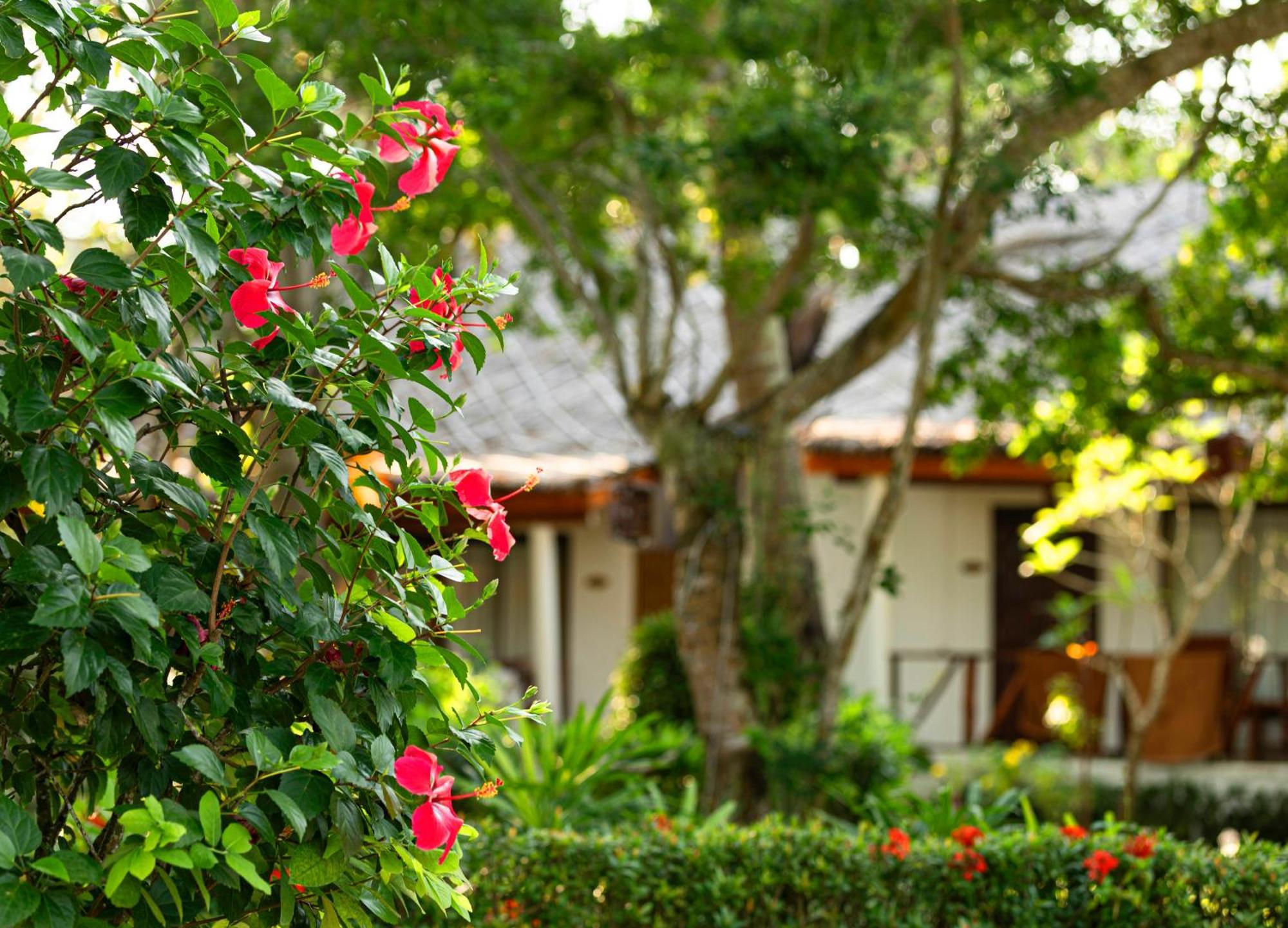 Lipa alojamiento Resort Lipa Noi Exterior foto